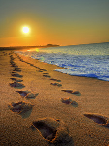 Dawn of a New Day