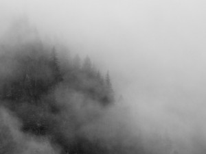 The Dark Half