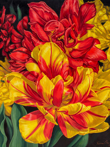 Tulipomania 14: Red and Yellow