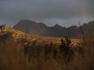 Fall in Anchorage, Alaska
