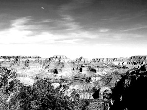Grand Canyon​​​​
