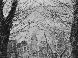 untitled (1005-8A, NYC)