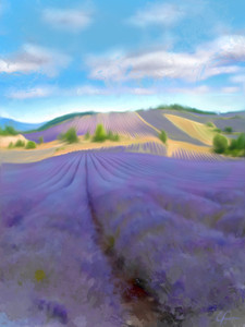 Provence​