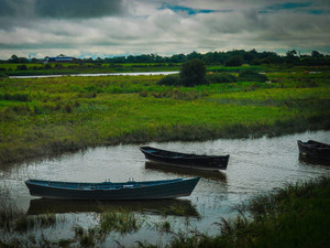 Canoes​