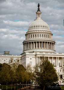 Capitol​