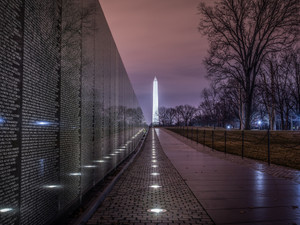 The Wall​​​​​