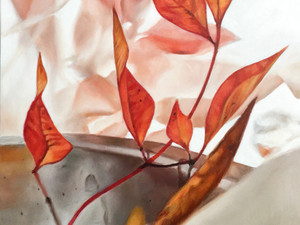 Nandina with tray