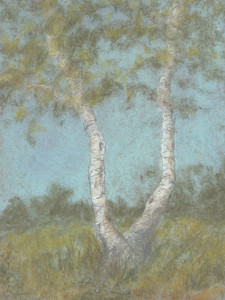 Terra Temporalis Redux, XXIV