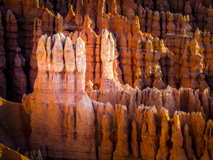 Hoodoo Spotlight
