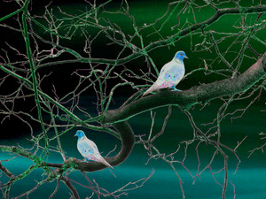 Doves​