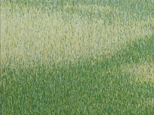 Grassland #31.1