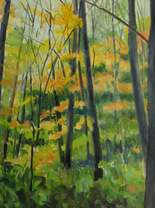 #636 Lake Hill Woods.