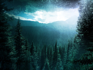 Diamond Lake I
