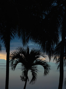 Blue Sunset