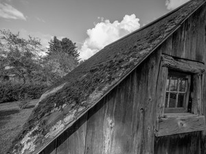 Old Shed​