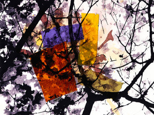 KITES