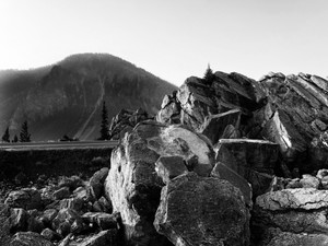 Rocky View