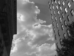 untitled (L1600890, NYC)