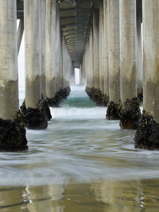 Under the Pier