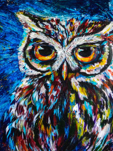 Midnite Owl