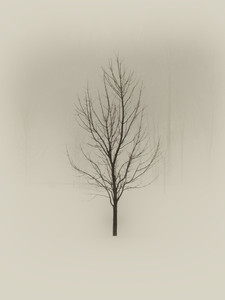 One Tree