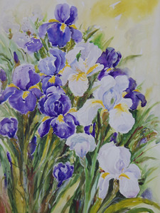 Blue and White Irises