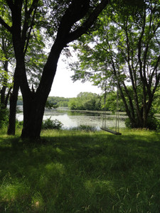 A Swing At The Lake