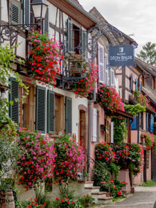 Alsace's Overflowing Window Boxes