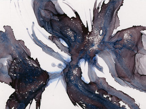 Black Orchid