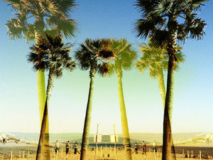 Palm Crossing