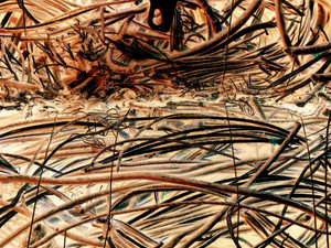 Abstract Wire 838