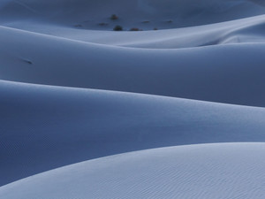 Blue Dunes