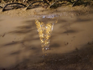 Rainy Night