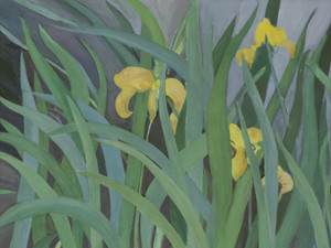 #776.Yellow Iris