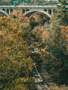 Beautiful autumn drive at Adams Morgan