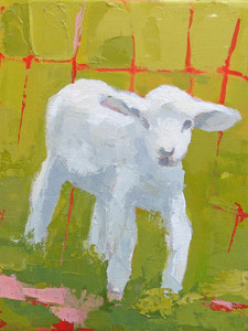 Baby Lamb