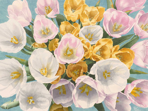 Tulip Tantrum