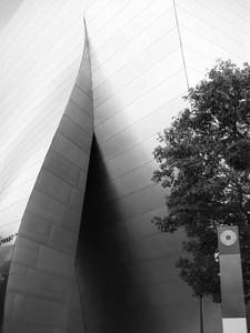 WDCH #11