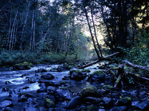 Big Quilcene River