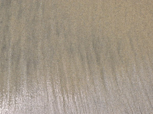 Sands of Oceanside #13
