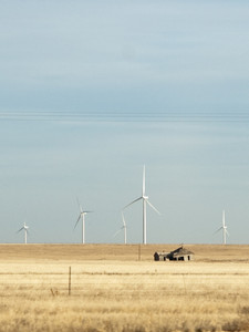 Dust Bowl