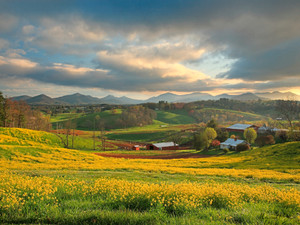 Appalachian Spring