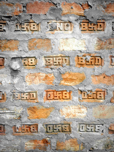 Swasti Bricks