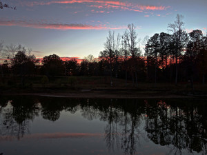 Evening Reflections​