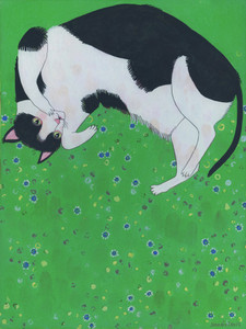Cat​