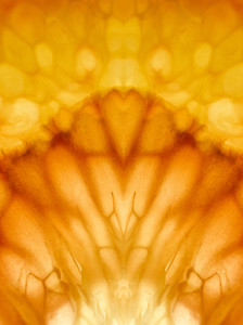 Citrus Pattern TA-2222435