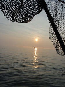 Catching The Bock Island Sound's Setting Sun