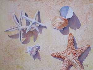 Stars and Shells