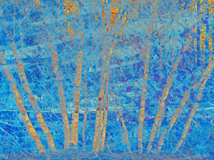 Blue Birches