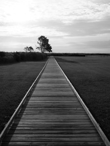 Bodie Island, Outer Banks NC